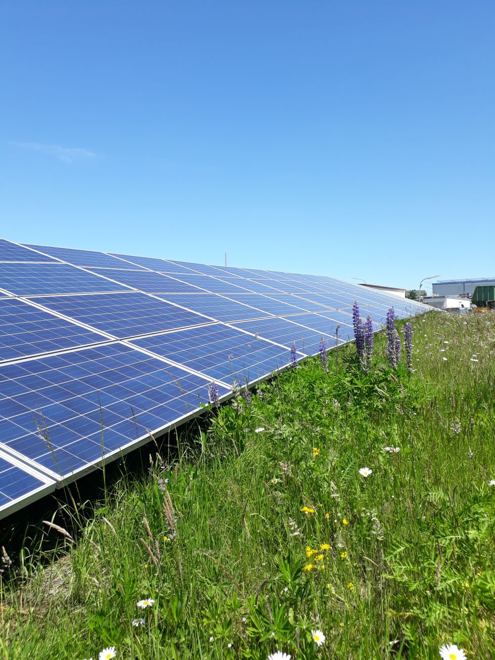 Ein Solarpanel in einem Solarpark
