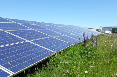 Ein Solarpanel in einem Solarpark